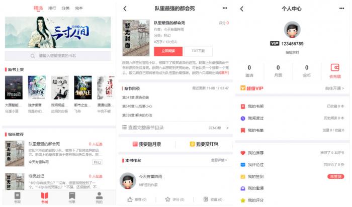 PTCMS小说聚合网站系统源码 带会员收费机制-第1张图片-大鹏资源网