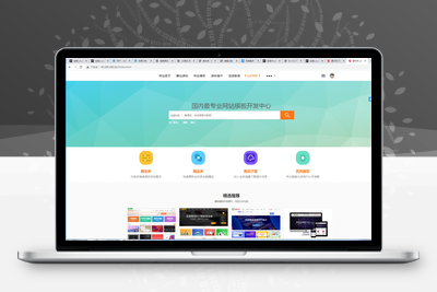 素材网源码资源下载站源码，带用户中心和VIP充值系统，后台管理+素材下载+积分金币下载【站长亲测】-无忧智云