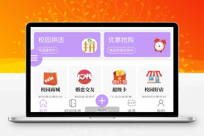 点微同城系统整站源码 带pc端与小程序端+49款插件-无忧智云