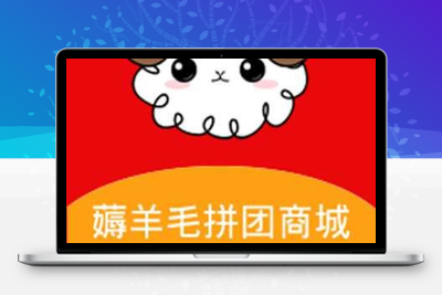 薅羊毛拼团商城V1.1.7多开版+前端-无忧智云