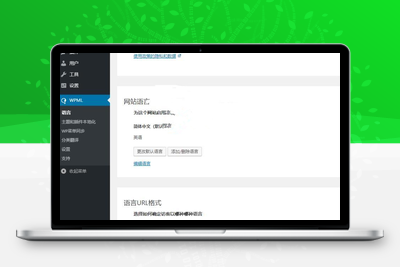 WordPress插件 多语言站点建设 WPML中英文版 v4.2.2 翻译页面、文章、自定义类型 可靠 兼容 完整 WordPress插件源码 多语言站点建设 中文英文 翻译页面-无忧智云