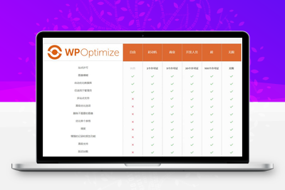 【WP-Optimize Premium v3.0.15】WordPress插件+数据库优化插件+专业汉化版-无忧智云