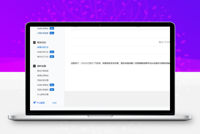 wordpress插件 WBOLT百度推送管理 3.4.6 Pro PJ最新版-无忧智云