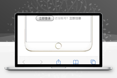 惩戒者短信云呼轰炸机源码全开源-无忧智云