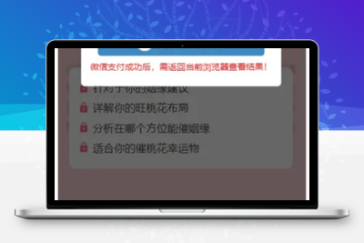测桃花运网站系统源码/完美对接支付结算-无忧智云