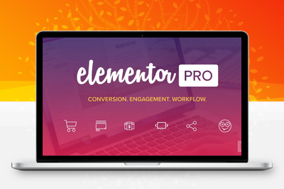 【Elementor Pro v2.10.0】WordPress插件+弹窗生成器+主题生成器+可视化拖拽编辑器插件+300多个Designer Made模板+专业版-无忧智云