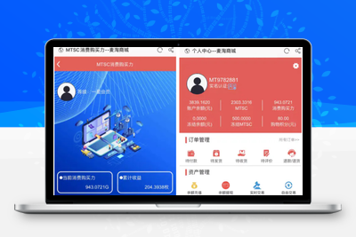 【麦淘商城】转发未测小白勿下+带余额充值提现+实名认证+安装教程-无忧智云